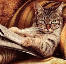 Featured Image -- 4206