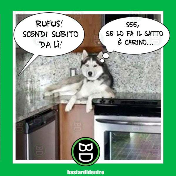 da Bastardidentro.it