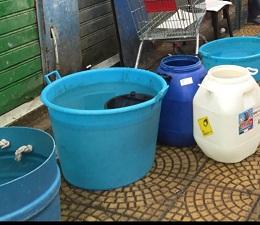 Featured Image -- 4912