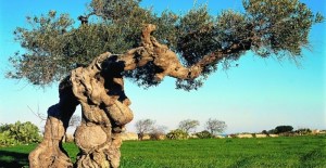 Featured Image -- 4542