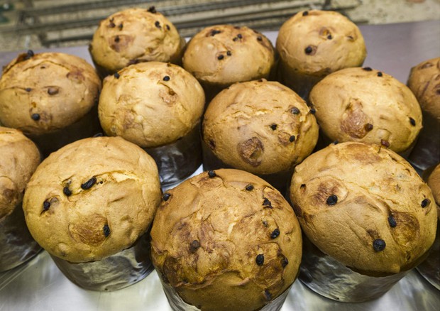 0e68a70bee3d37c49661e690502cd178