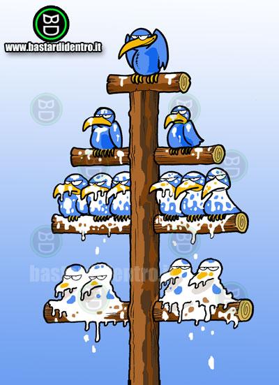 organigramma1183465853