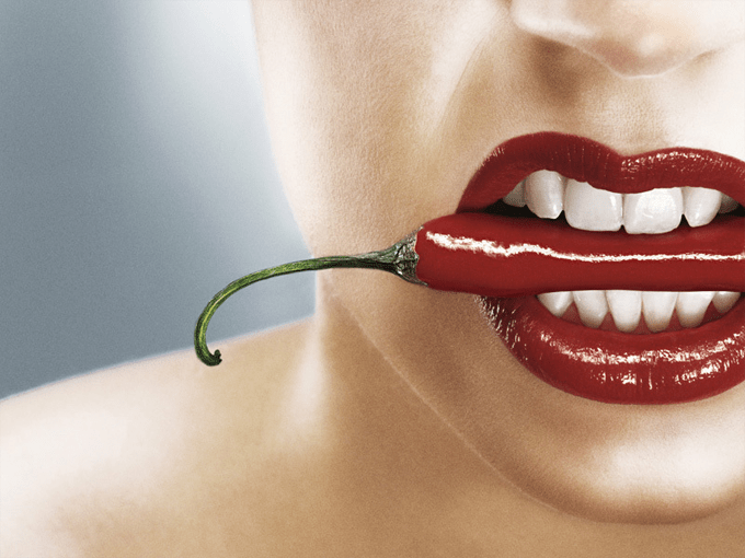 sei mesi su wordpress