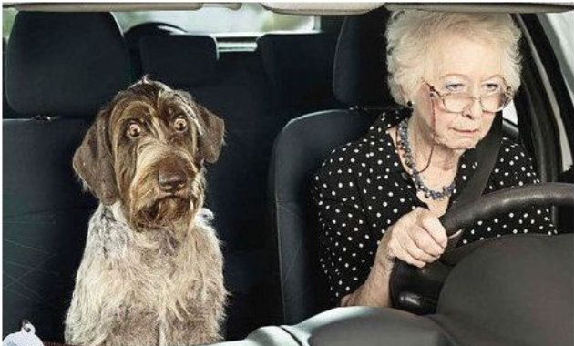 anziani al volante
