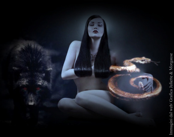 fede lupo serpente 1 nik