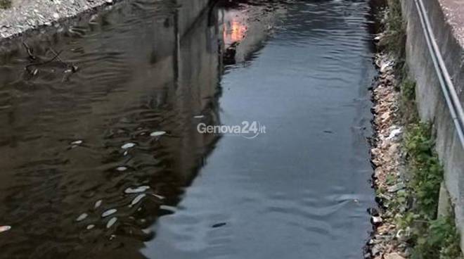 Featured Image -- 13661