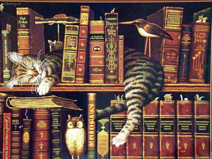 gattolibri
