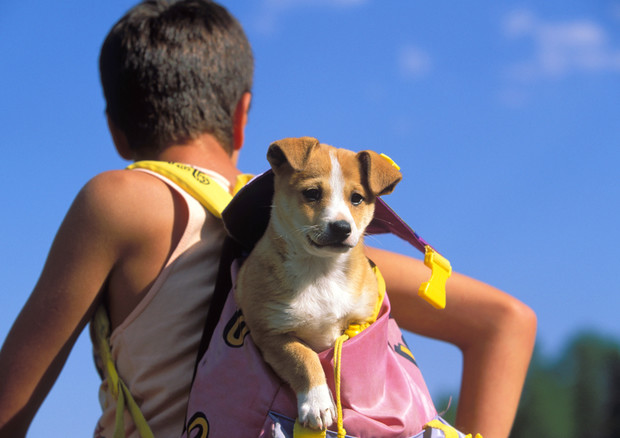 14a591f3b4f2b6a6709e1687c52c572a