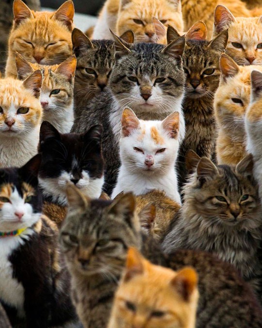 reuters10rtr4ruvw-540x676