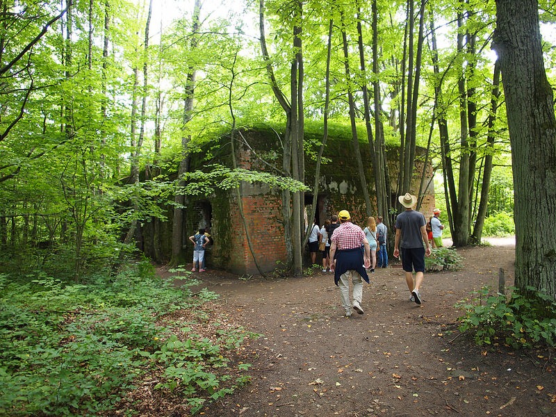 Featured Image -- 19939