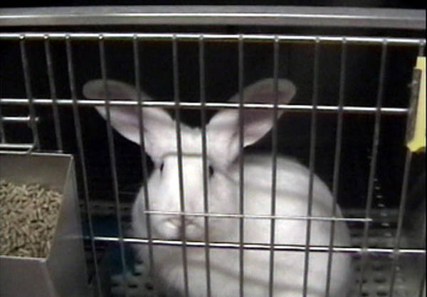 cb44d5f38ec83242c84f412303e6a104