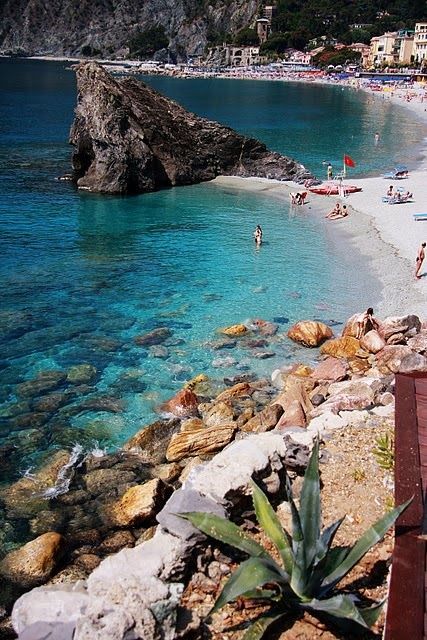 408b3522a1bfe15aebd70f01bde9ba6a