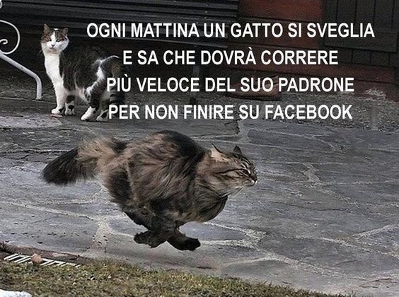 51efdf5c16d4853b720b8c07c35add5c