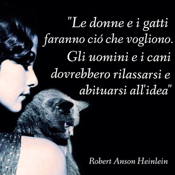 54050d4da5b94cb0183cb60ef9d90042