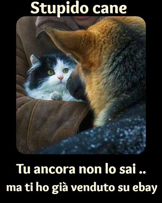 55238c41b2885c8c511b3c05c401f067