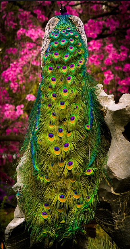 611d0688755fa0f314fcc6cd62243d04