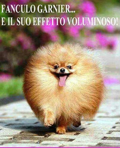 833a48cb5f97ac42ae70e49380f3669b