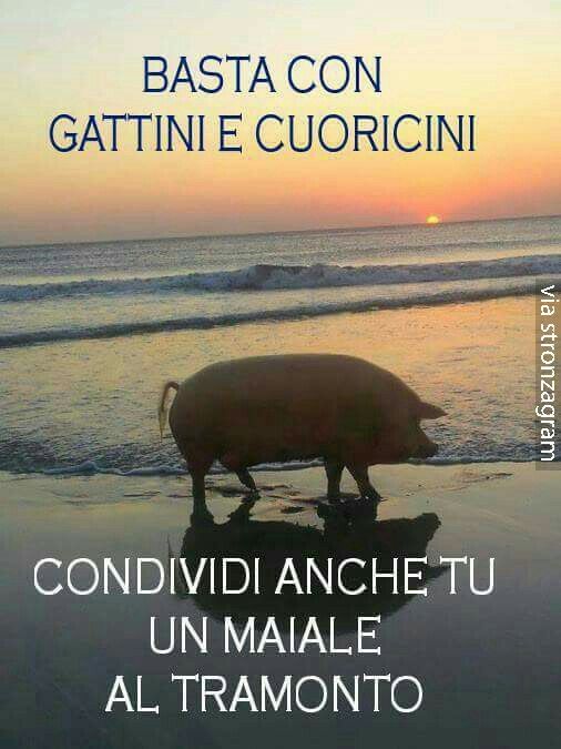 a30a2e50a99b86d42c5b84d6c8fb00e0