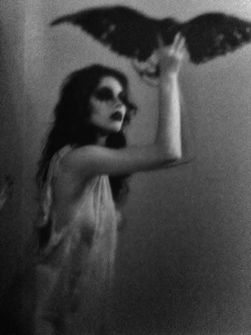 ab4e87c851c196a79cfc9ed9c957c1d7