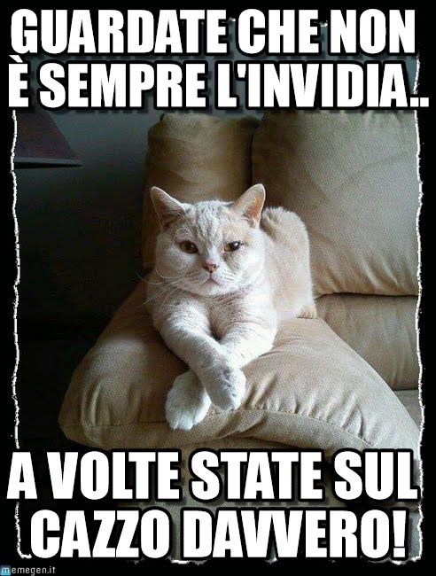 ac51f8843b59ca24a29e393b84343086