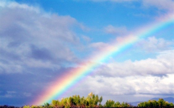 arcobaleno