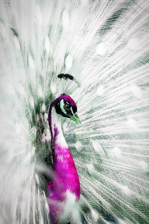 b5ae5cd43127c8935434e24a8ec1c16c