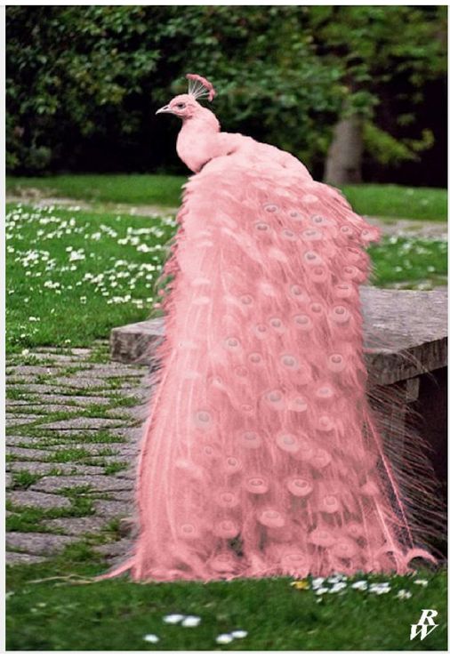 c1a72c89ee3c3ad5f1a7060e12f1a857