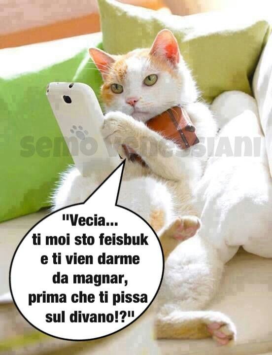 e38cca96646fb8c1c783b7fc168d2e73