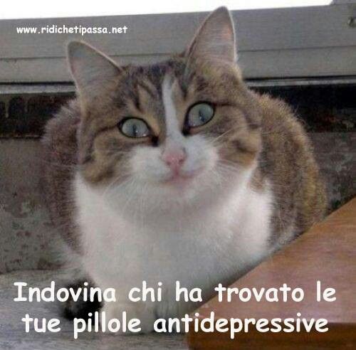 eb00436043eeb47ff7061f091e744d94