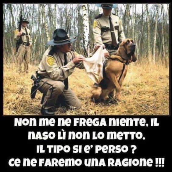 f07d49291582319ca30289a38d570d80