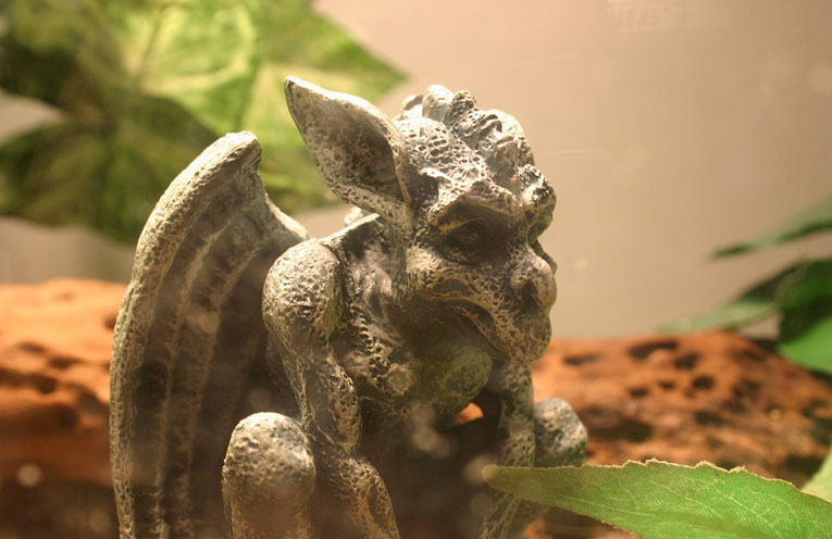 gargoyle