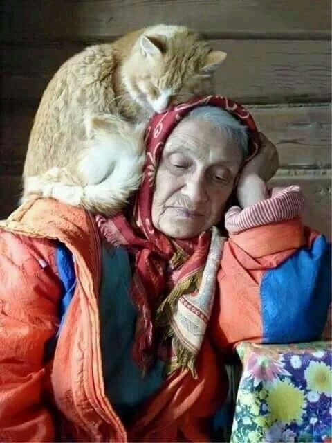 9a8378a653f9ed6e50f45ee619b13cdb