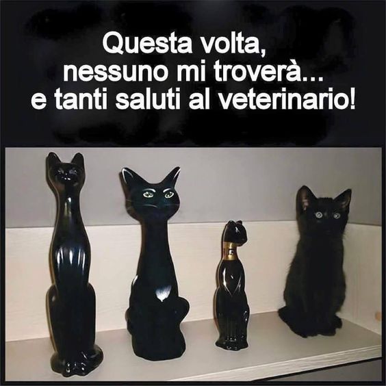 27798fa6a140e4757c31138613f17377