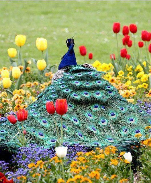 3a7d727ac4aca6a2ec4b2058ec0029e0