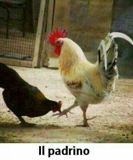 454476bdcef14b018be2e89dfd6d5277