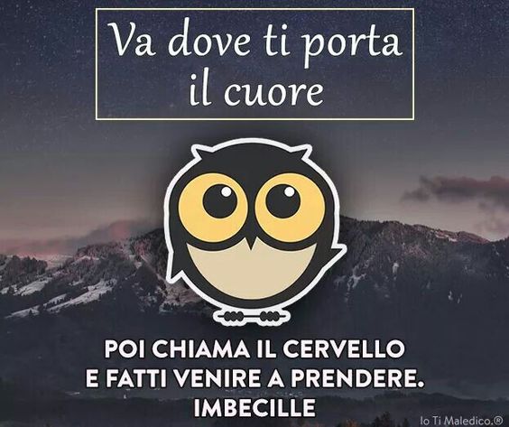 51a4ed2db62e5be1cbbf5dd7a007a7fe