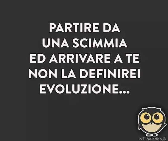 56c9843d413a52299edb9444e2458e3b