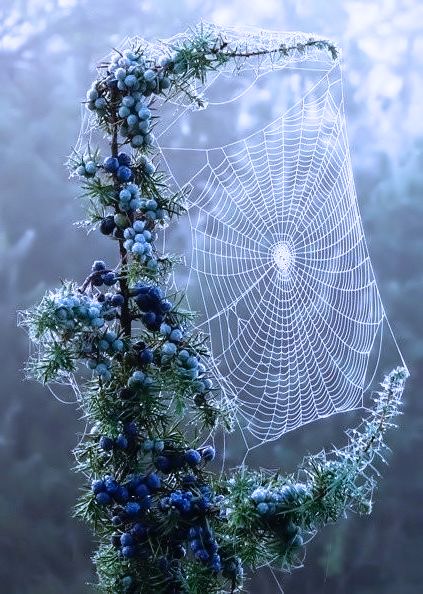 875aa20e245c6e7c26f52c7d4f428f62