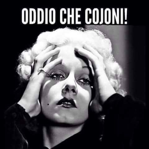 f0a4b704ab321d7e5e5a557fa72114f8