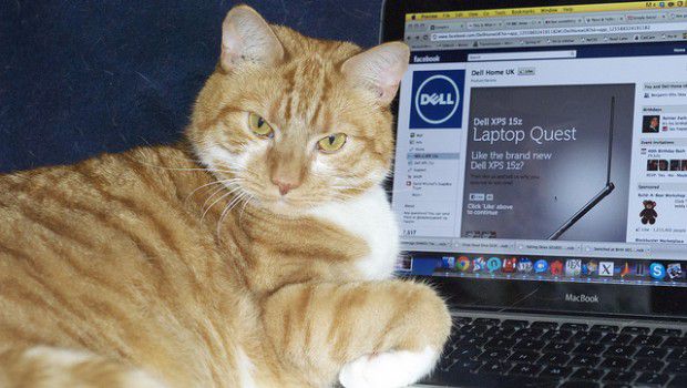 gattopiccì