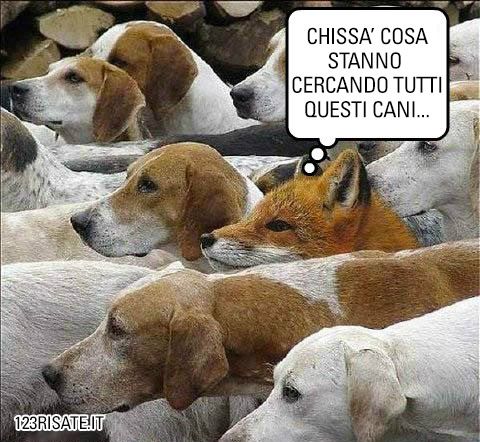 41f91c4b105f158f6b7e58695322e7cb