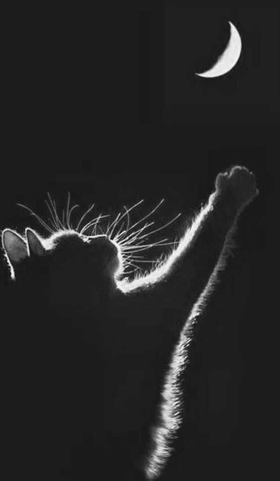 4fb6a128c4b65ff6fe548ce69ebf73d1