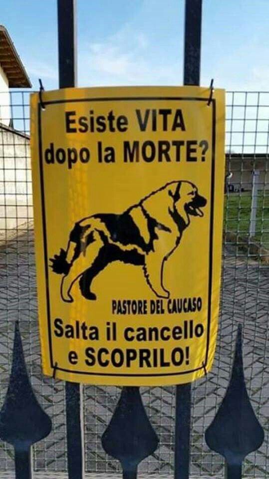 69825736d15f0d6eab7e44b2bb4152c7