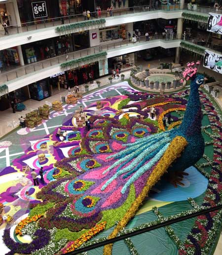 feria-de-las-flores-pavoreal