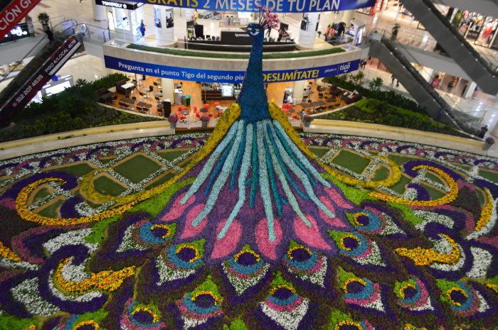 GCF-DSC_0250-700x465