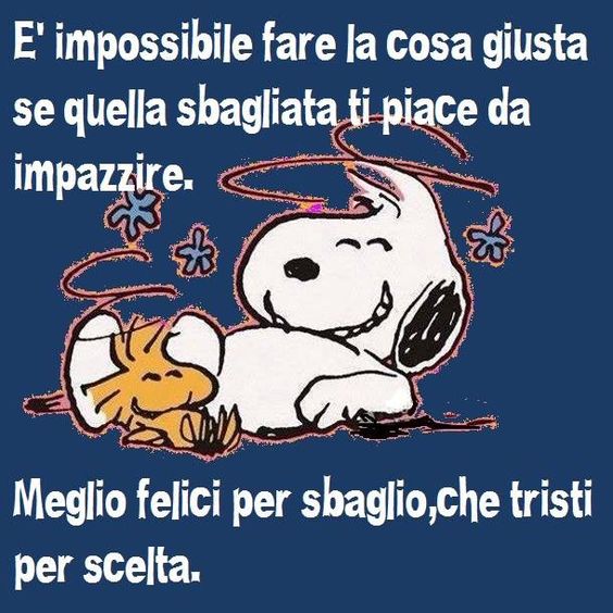 5005f7a1afaf2b83132bf95ada920f3b