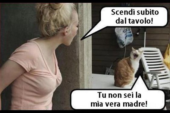 dbd5fa2b00d5d4bdedba649391498570