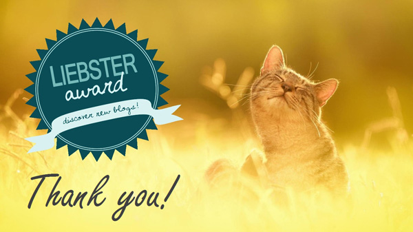 liebster-award13