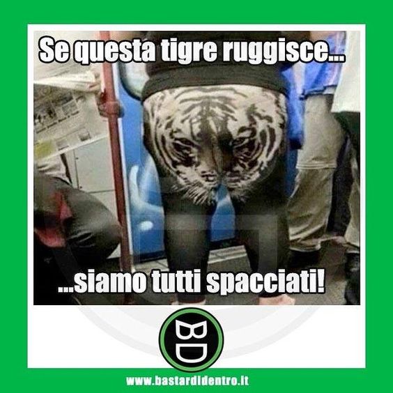 b598ac7c6bdc6e43c08569799f16329f