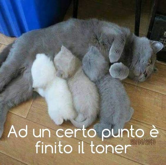 cc3623df3342258d69940cc79863a28d